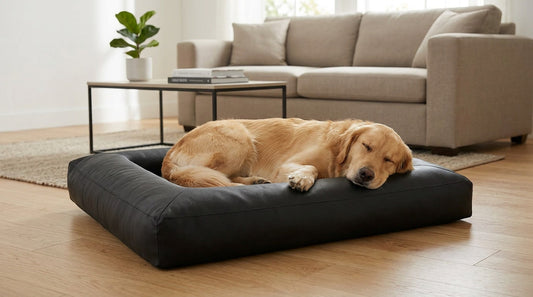 ROYAL COMFORT
